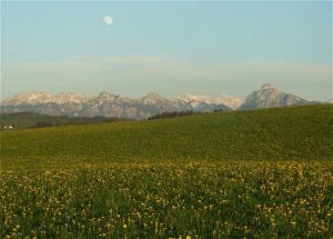 Moon and Mountains